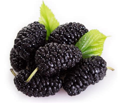 mulberry fruit online bangalore